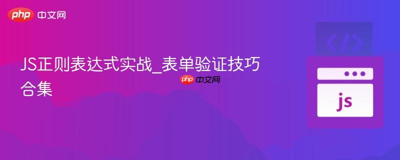 js正则表达式实战_表单验证技巧合集
