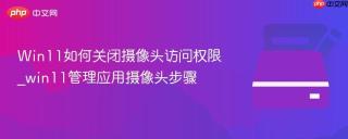 Win11如何关闭摄像头访问权限_win11管理应用摄像头步骤