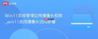 Win11怎样管理应用摄像头权限_win11关闭摄像头访问步骤