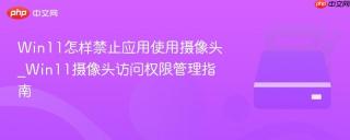 Win11怎样禁止应用使用摄像头_Win11摄像头访问权限管理指南