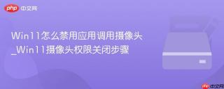 Win11怎么禁用应用调用摄像头_Win11摄像头权限关闭步骤