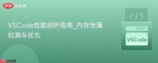 VSCode性能剖析指南_内存泄漏检测与优化