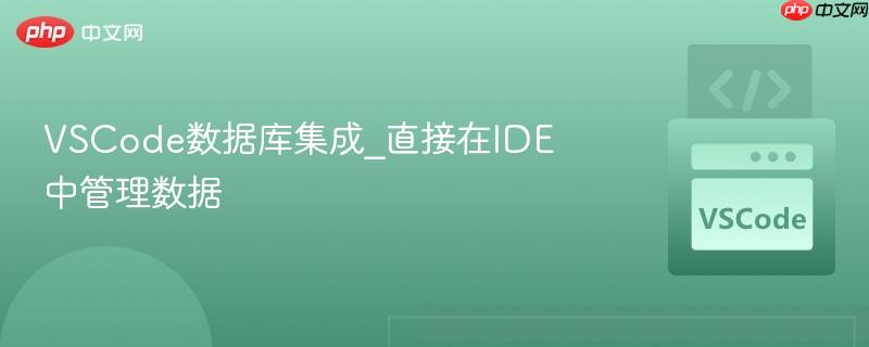 vscode数据库集成_直接在ide中管理数据