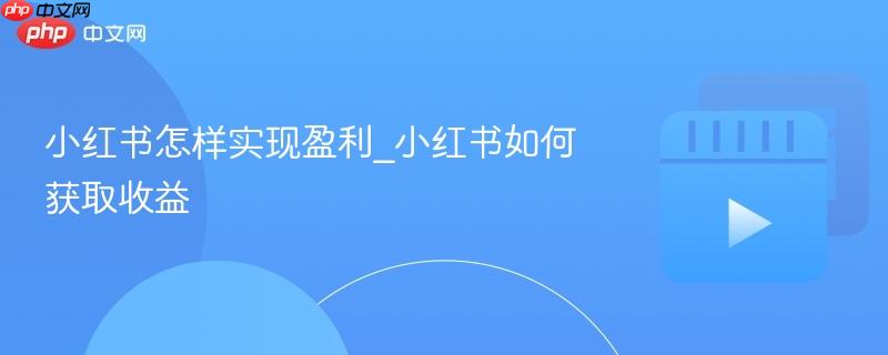 小红书怎样实现盈利_小红书如何获取收益