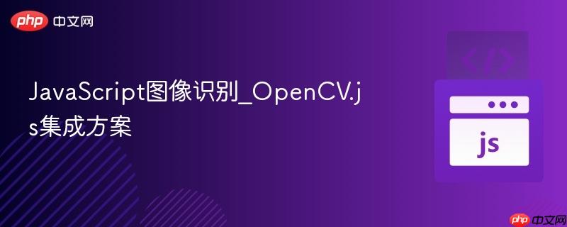 javascript图像识别_opencv.js集成方案