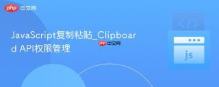 JavaScript复制粘贴_Clipboard API权限管理