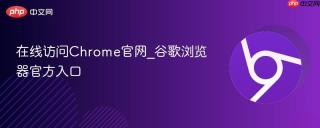 在线访问Chrome官网_谷歌浏览器官方入口