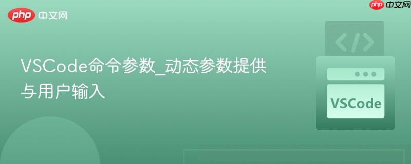 vscode命令参数_动态参数提供与用户输入