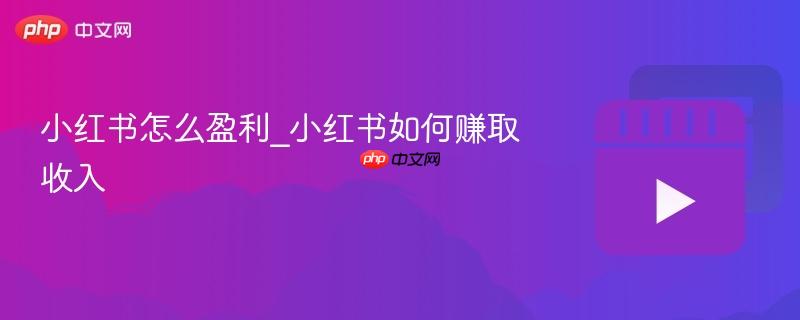 小红书怎么盈利_小红书如何赚取收入