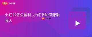 小红书怎么盈利_小红书如何赚取收入