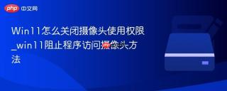 Win11怎么关闭摄像头使用权限_win11阻止程序访问摄像头方法