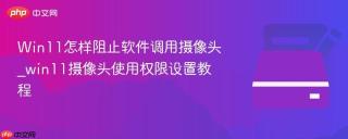 Win11怎样阻止软件调用摄像头_win11摄像头使用权限设置教程