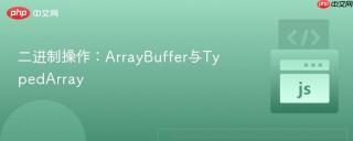 二进制操作：ArrayBuffer与TypedArray