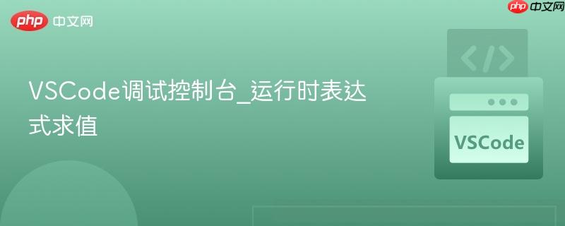 vscode调试控制台_运行时表达式求值