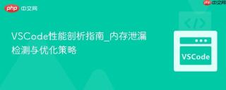 VSCode性能剖析指南_内存泄漏检测与优化策略
