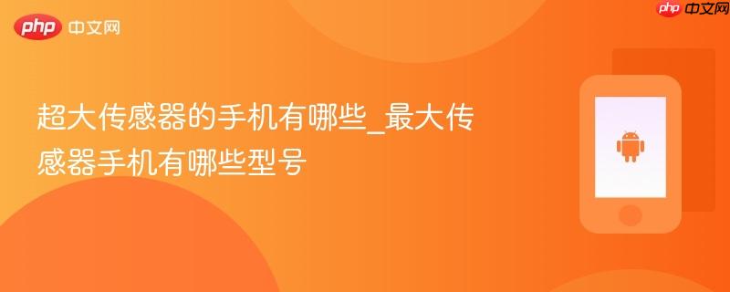 超大传感器的手机有哪些_最大传感器手机有哪些型号