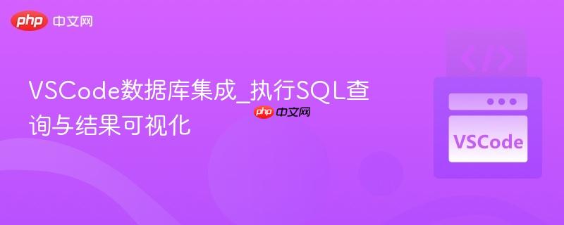 vscode数据库集成_执行sql查询与结果可视化
