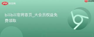 bilibili官网首页_大会员权益免费领取
