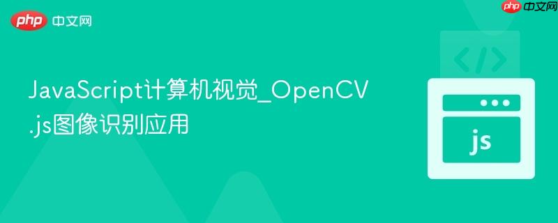 javascript计算机视觉_opencv.js图像识别应用
