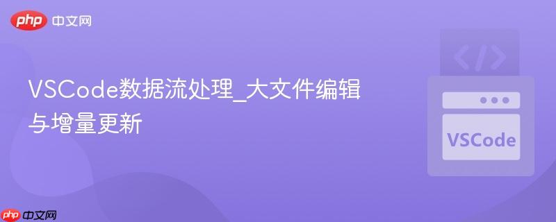 vscode数据流处理_大文件编辑与增量更新