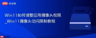 Win11如何调整应用摄像头权限_Win11摄像头访问限制教程