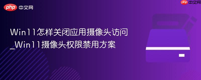 win11怎样关闭应用摄像头访问_win11摄像头权限禁用方案