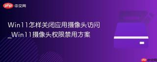 Win11怎样关闭应用摄像头访问_Win11摄像头权限禁用方案