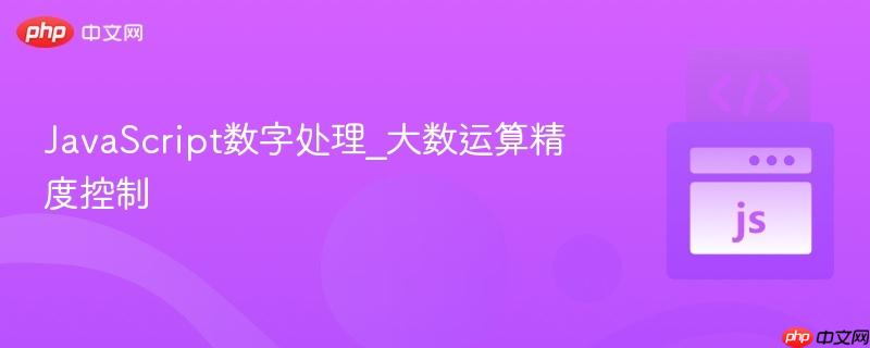 javascript数字处理_大数运算精度控制