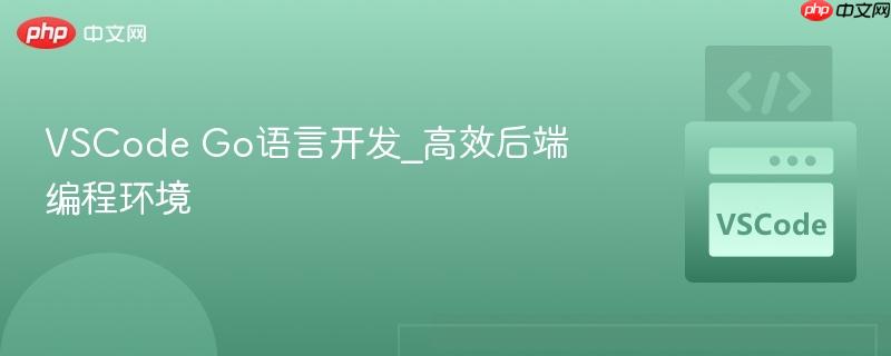 vscode go语言开发_高效后端编程环境