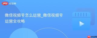 微信视频号怎么运营_微信视频号运营全攻略