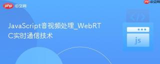 JavaScript音视频处理_WebRTC实时通信技术