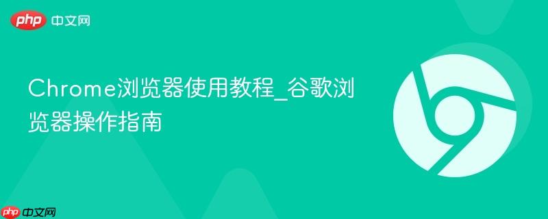chrome浏览器使用教程_谷歌浏览器操作指南