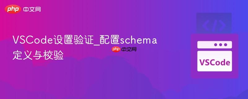 vscode设置验证_配置schema定义与校验