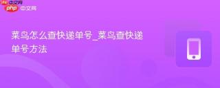 菜鸟怎么查快递单号_菜鸟查快递单号方法