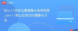 Win11怎样设置摄像头使用权限_win11禁止应用访问摄像头方法