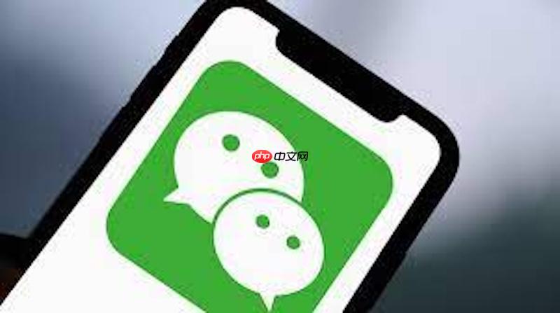 微信步数不更新怎么办_微信步数更新解决方法