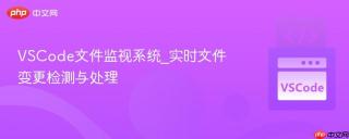 vscode文件监视系统_实时文件变更检测与处理