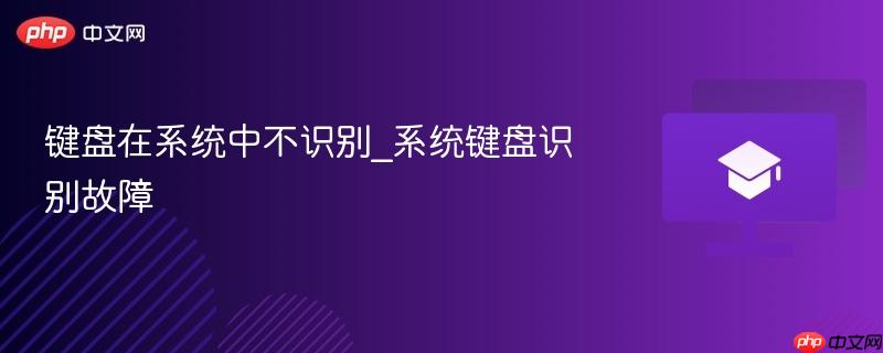 键盘在系统中不识别_系统键盘识别故障