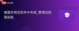 键盘在特定软件中失效_管理员权限获取