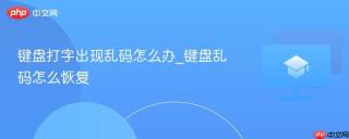 键盘打字出现乱码怎么办_键盘乱码怎么恢复
