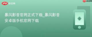 暴风影音官网正式下载_暴风影音安卓版手机官网下载