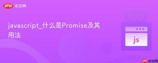 javascript_什么是Promise及其用法