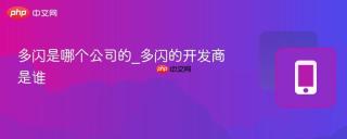 多闪是哪个公司的_多闪的开发商是谁