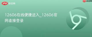 12606在线便捷进入_12606官网直接登录