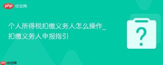 个人所得税扣缴义务人怎么操作_扣缴义务人申报指引