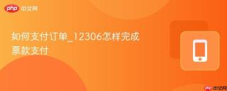 如何支付订单_12306怎样完成票款支付