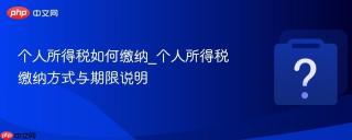 个人所得税如何缴纳_个人所得税缴纳方式与期限说明