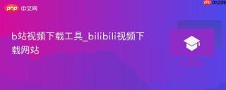 b站视频下载工具_bilibili视频下载网站