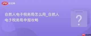 自然人电子税务局怎么用_自然人电子税务局申报攻略