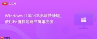 Windows11笔记本亮度快捷键_使用Fn键快速调节屏幕亮度
